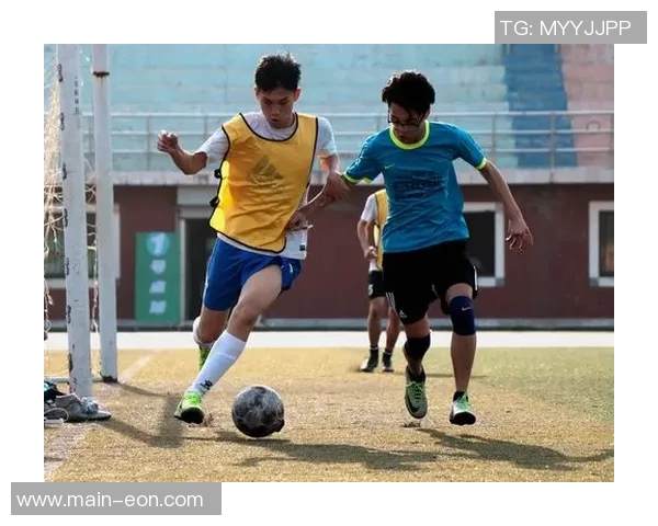 丁丁足球：探索足球世界的奇妙旅程与成长故事